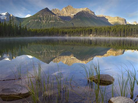 Bow Range And Boreal Forest Reflected Photograph By Tim Fitzharris
