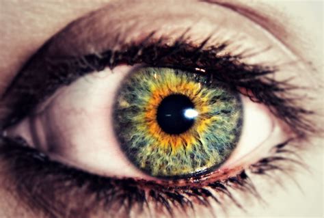 I Have Central Heterochromia Eyeso Pinterest Eye Color Facts