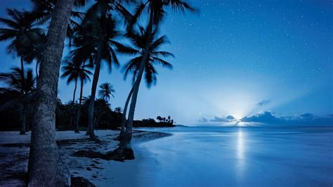 Starry Night Sky Over The Beach Hd Wallpaper Backiee
