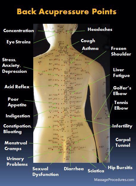 Chart Of Pressure Points On The Human Body