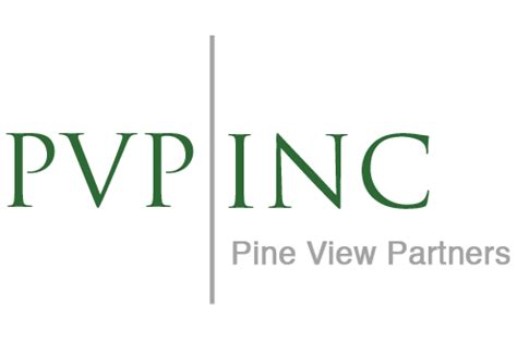 Pine View Partners - Pine View Partners