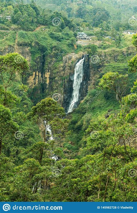 Waterfall Stone Green Moss Rain Forest Stock Photo Image Of Journey