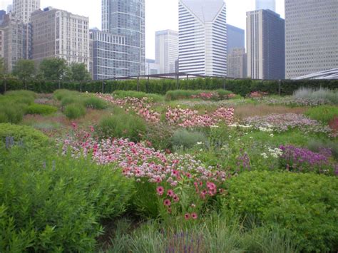 Hotels in chicago southwest suburbs, united states. Eco-Conscious Landscapes Fast Track The Rise Of Grasses ...