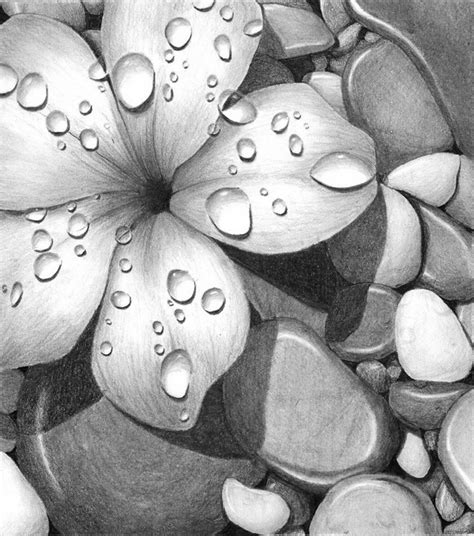 We did not find results for: 10+ Beautiful Flower Drawings for Inspiration - Hative