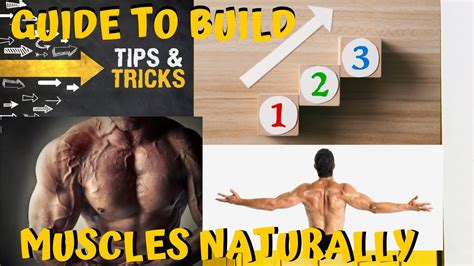 How Fast Can You Build Muscle Naturallya Step By Step Guide To