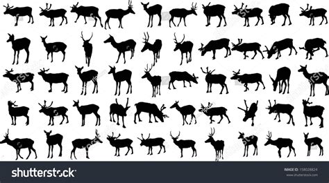 Set Of 50 Vector Silhouettes Of Deers 158028824 Shutterstock