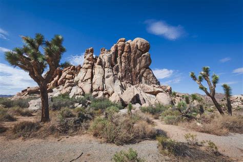 11 Best Hikes In Joshua Tree National Park The Planet D