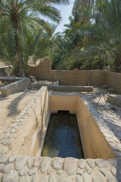 6 Things To Do At The Al Ain Oasis Whats On