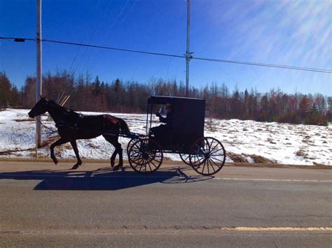 Amish 101 What Islanders Can Expect From Their New Neighbours Cbc News
