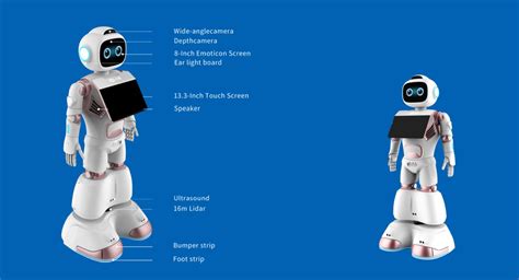 Commercial Service Robot Ready Made And Allow Customization Lkk Engineering