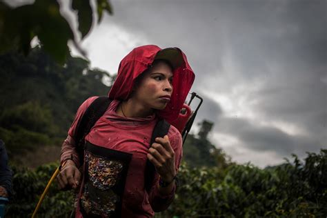 Indigenous Trans Women In Colombia Work On Coffee Farms