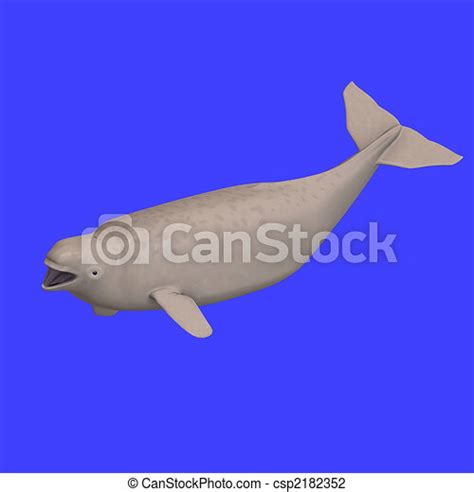 Whitle Beluga Whale Calf 3d Rendering Canstock