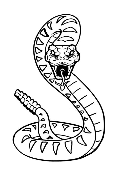 Cobra Venenosa Para Colorir Imprimir Desenhos