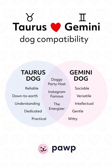 Taurus Gemini Compatibility Taurus And Gemini Gemini Compatibility