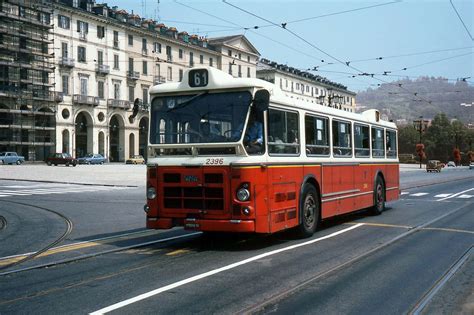 Transpress Nz Fiat Bus In Turin Italy 1978