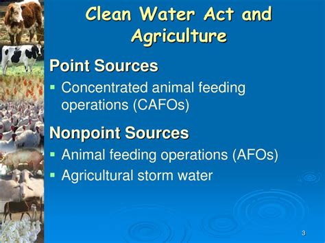 Ppt Concentrated Animal Feeding Operations Powerpoint Presentation