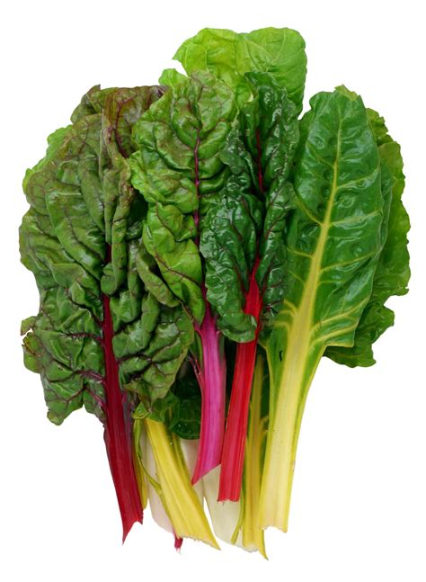 Everything You Need To Know About Swiss Chard
