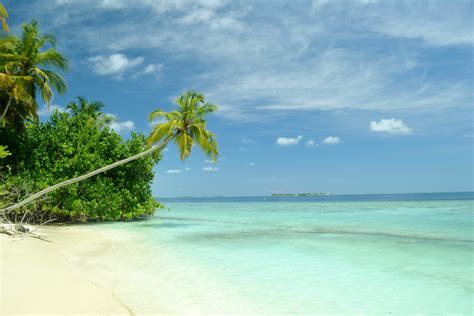 Paradise Tropical Island Pictures Huge Selection Of Wallpapers For