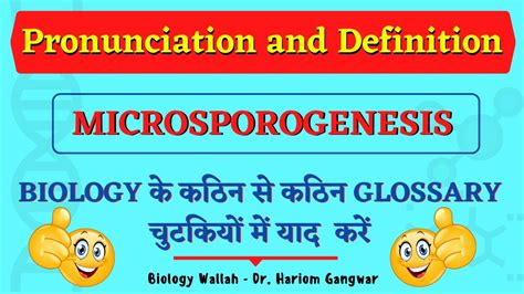Microsporogenesis Pronunciation And Definition Neet 2020 Youtube