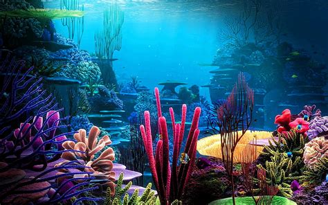Coral Reef 3d Art Underwater World Fish Wildlife Sea Coral Hd