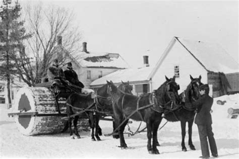 The Original Winter Service Vehicles Were Horse Drawn Snow Rollers The