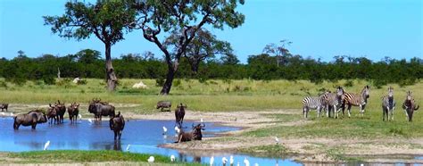 5 Best Botswana Tourist Attractions And Places To Visit
