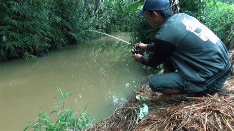 Cara Memancing Ikan Di Sungai Kecil Hobi Mancing