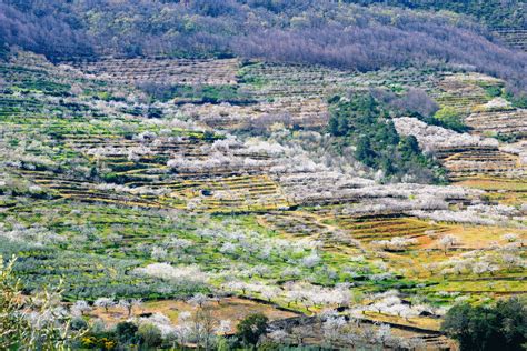 Valle Del Jerte Cáceres Houdinis