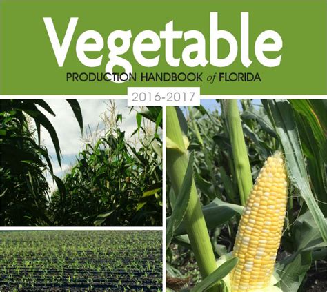 Includes sections on horticultural practices; The Vegetable Production Handbook of Florida: The Go-to ...