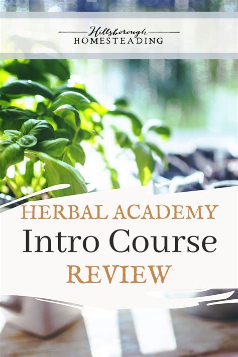 My Honest Review Of Herbal Academys Introductory Herbalism Course