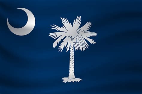 Waving Flag Of South Carolina Vector Illustration Stock Illustration