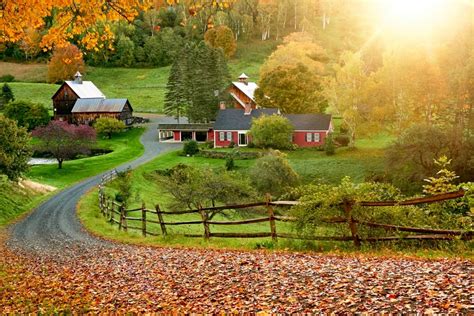 The Best 5 Fall Foliage Photo Ops In New England New England Today
