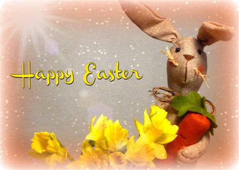 Happy Easter Bunny Free Stock Photo Public Domain Pictures