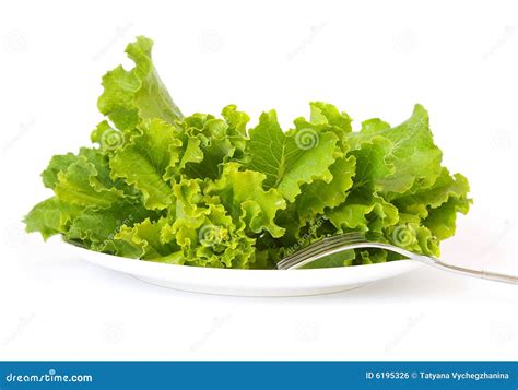 Lettuce On A White Plate Royalty Free Stock Image Image 6195326