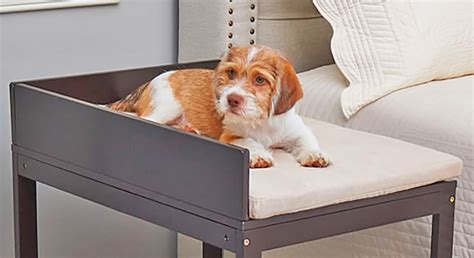 These Amazing Lofted Dog Beds Are Perfect For Pooches That Hog Your Bed