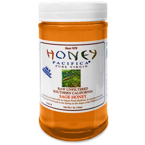 Honey Pacifica Sage Raw Honey 16 Oz Grocery And Gourmet Food