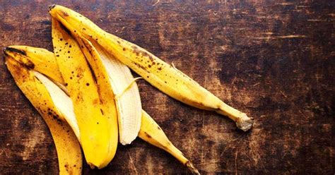Tie a banana peel for 7 days, see what happens to your body. Banana Peels In The Garden - (12 How To Ideas And Uses)