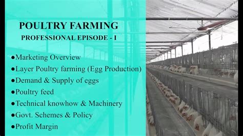 Tpc plus berhad is a renowned company in the poultry farming industry in malaysia. POULTRY FARMING PROFESSIONAL EPISODE I - YouTube