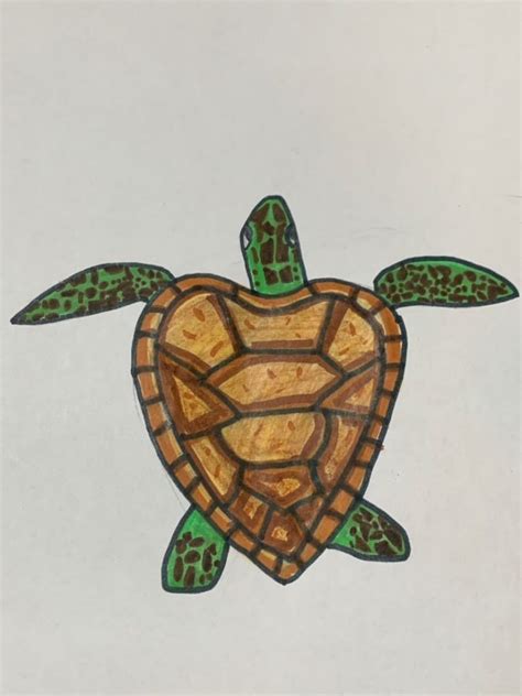 Splash By Daniela Aged 11 Wins Our Turtle Is Our Spirit Animal
