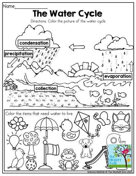 Water Cycle Worksheet For Kindergarten