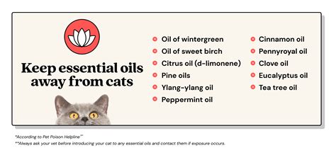 Are Peppermint Essential Oils Safe For Dogs