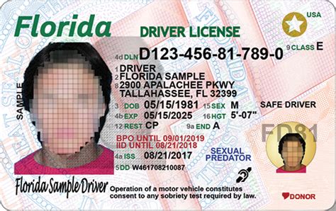 Floridas New Driver License And Id Card Florida Department Of Cloudyx Girl Pics