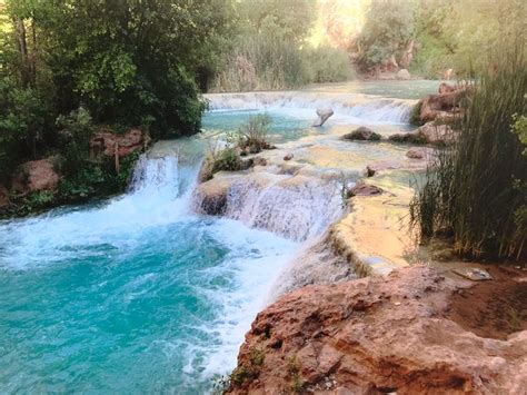 Your Complete Guide To Havasupai Hiking Camping Getting Permits