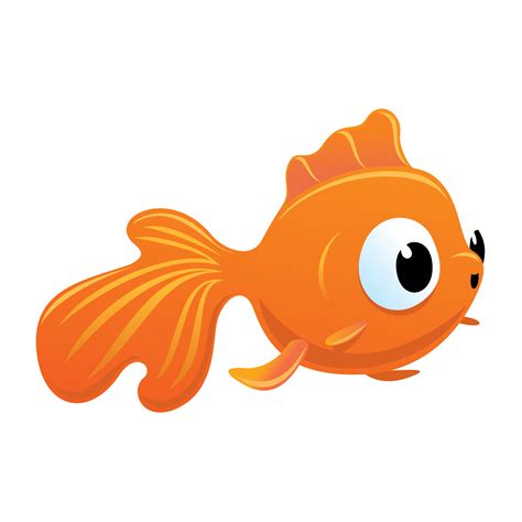 Goldfish PNG Transparent Image Download Size X Px