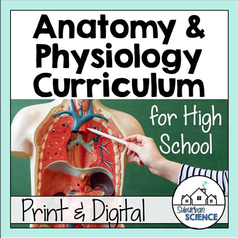Full Anatomy And Physiology Curriculum Suburban Science