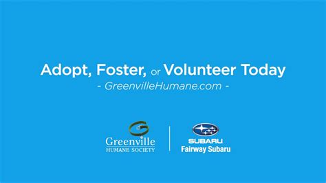 Meet Your Best Friend At The Greenville Humane Society Youtube