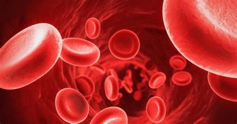 9 Natural Ways To Increase Red Blood Cells Count Best Health Tips