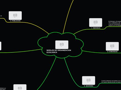 Niveles De Organizacion Ecologica Mind Map