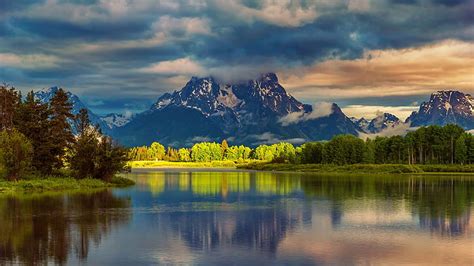 Hd Wallpaper Jenny Lake In Wyoming Spring Flowers Rocky Mountains