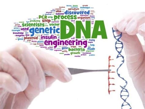 Introduction Of Genetic Engineering Youth Voices